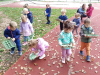 IMG_20241025_105206